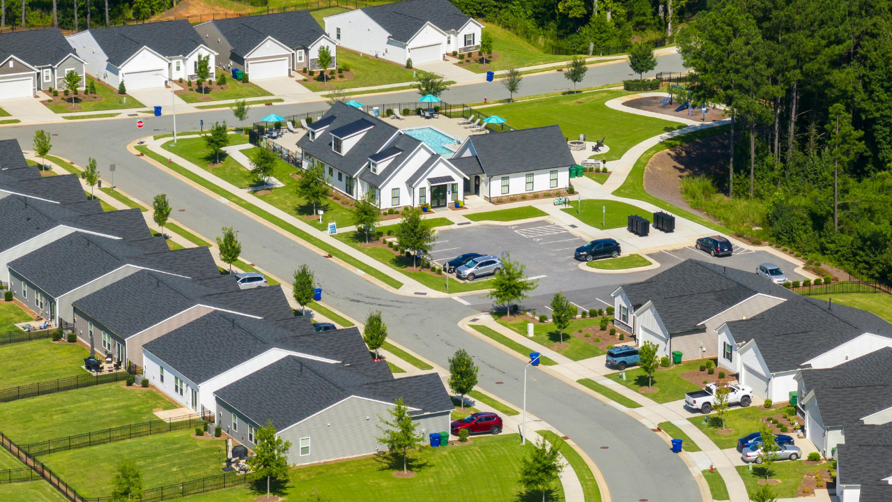 Market Trends & Investment Insight